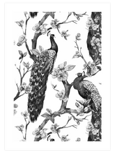 Tavus Kuşu - Art Print